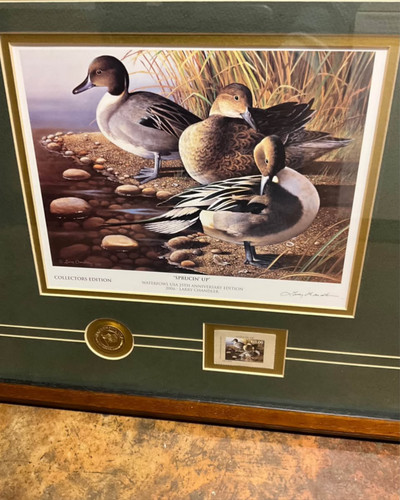 Framed wildlife art print - wildlife,