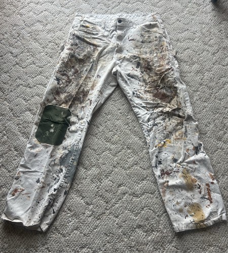 Dickies men painters pants - painters,